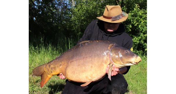 MIVARDI - Rapid boilies platinum - b17 (3300 g | 20 mm)